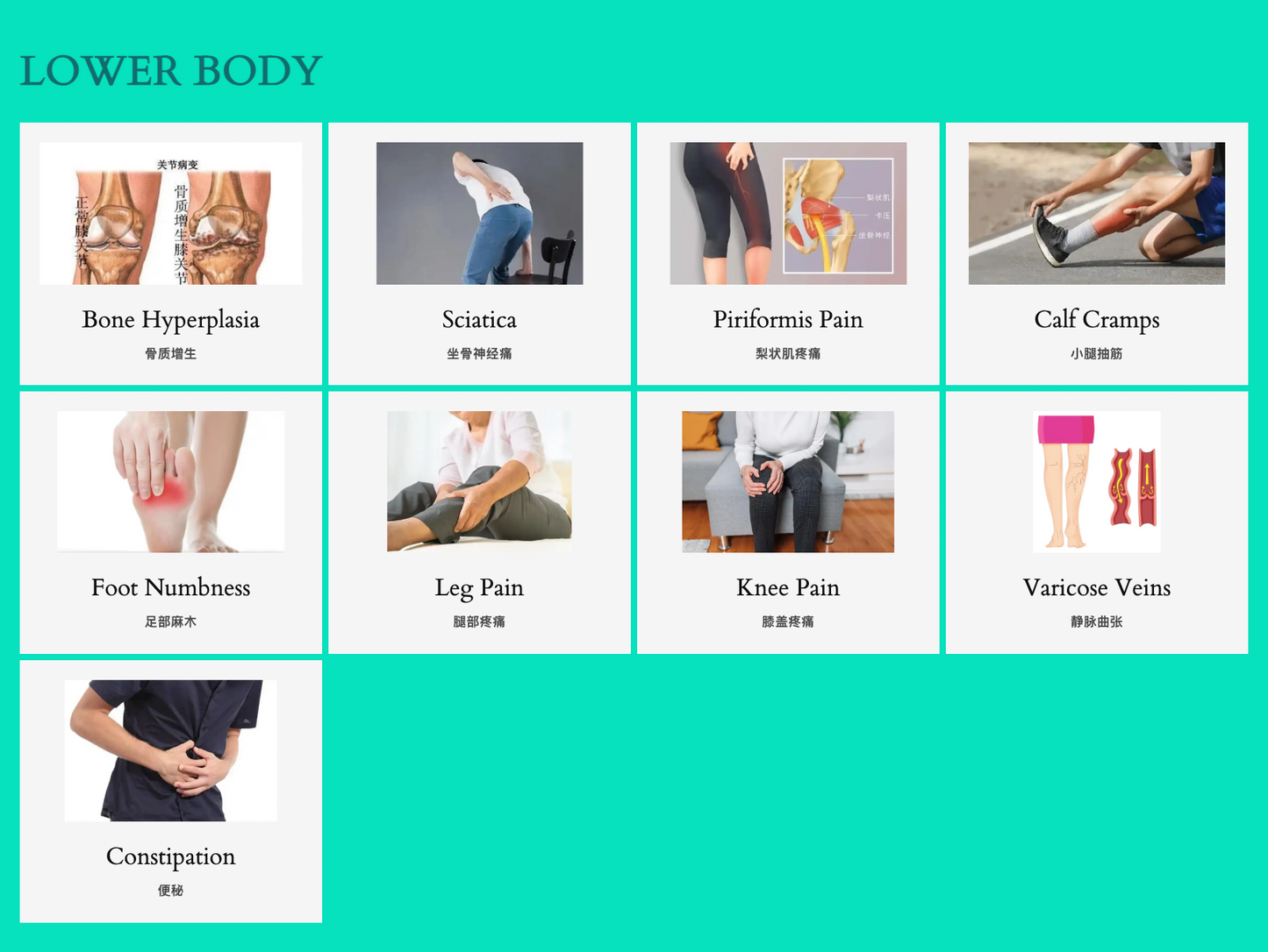 4. Qigong Therapy - Home Service