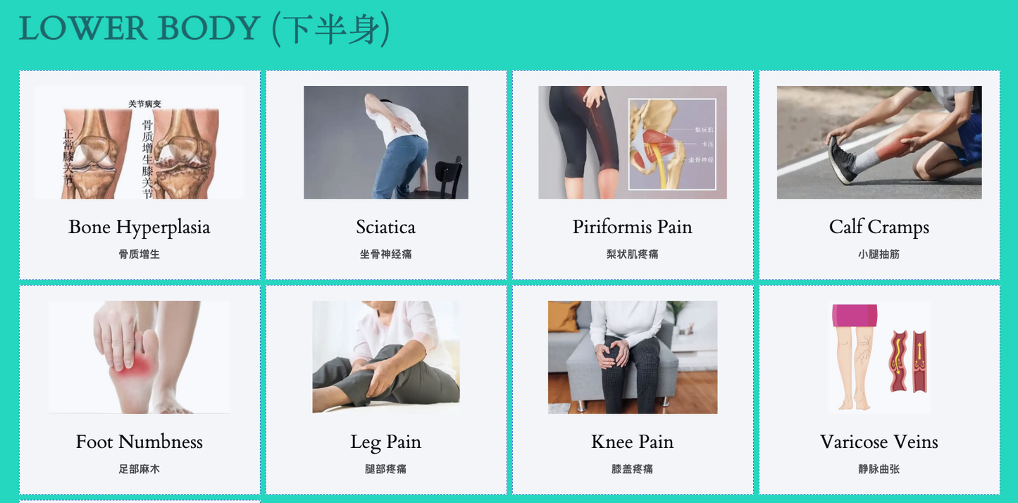 2. Lower body treatment (下半身)