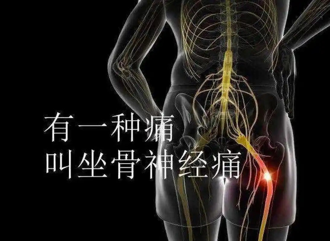 2. Lower body treatment (下半身)