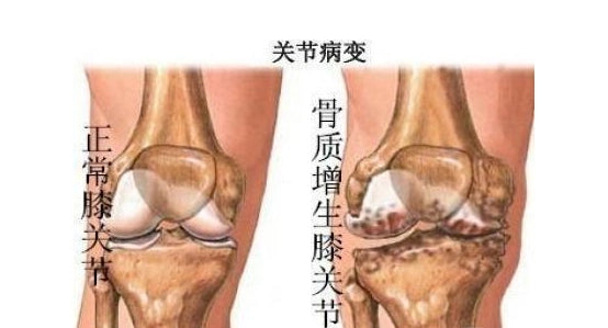 2. Lower body treatment (下半身)